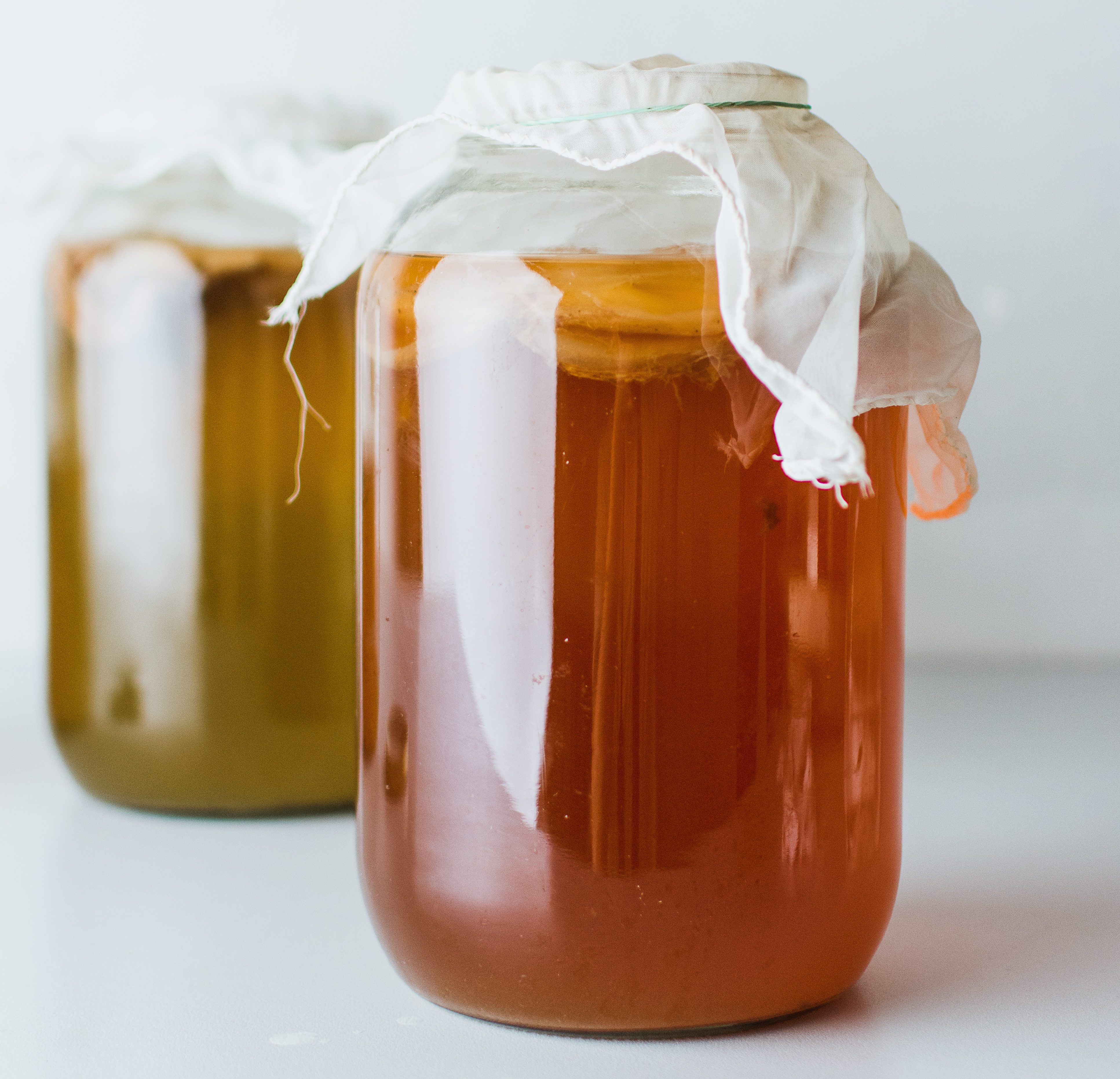 Kombucha A Great Probiotic Drink Yourdailysportfix