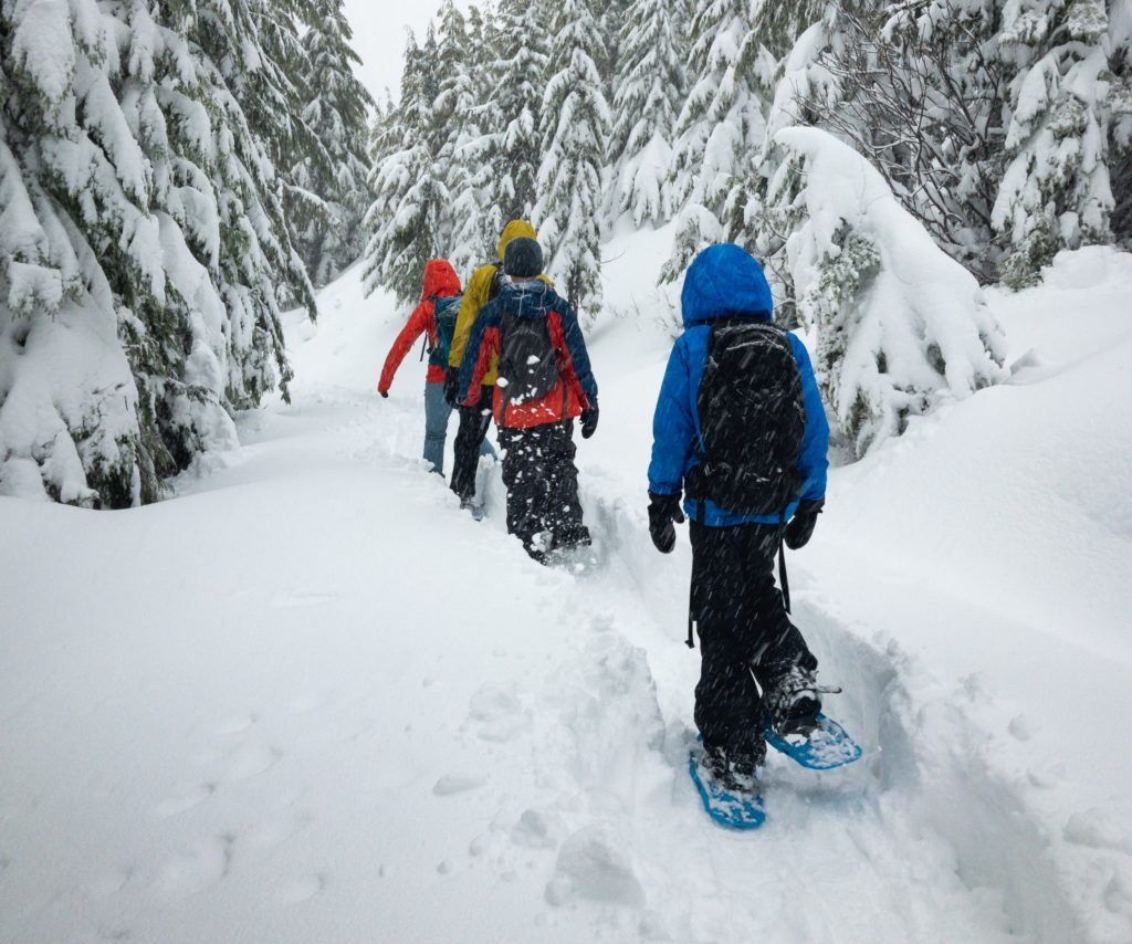 Fun Winter Sports You Can Enjoy With Your Entire Family