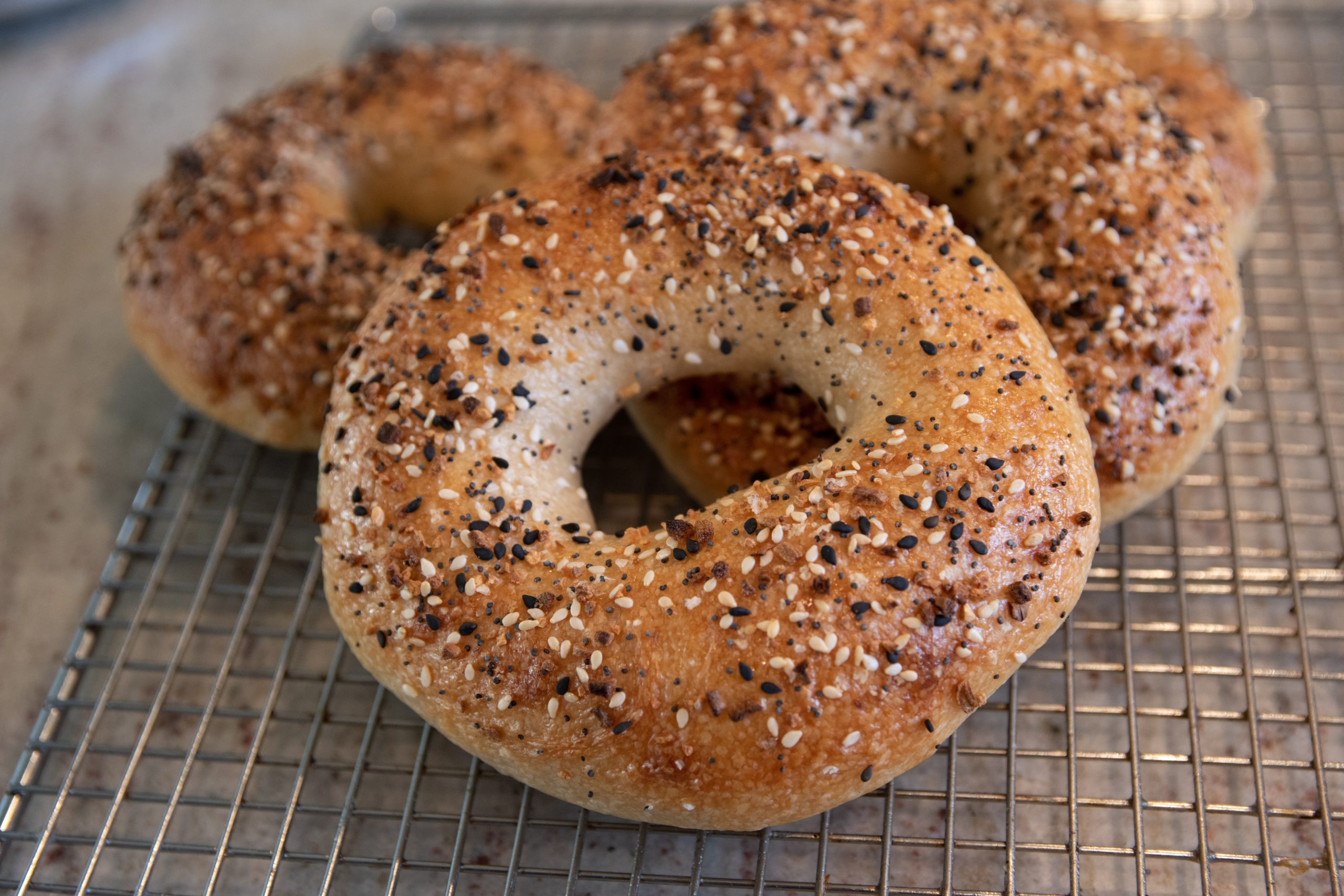 Are Everything Bagels Safe For Dogs