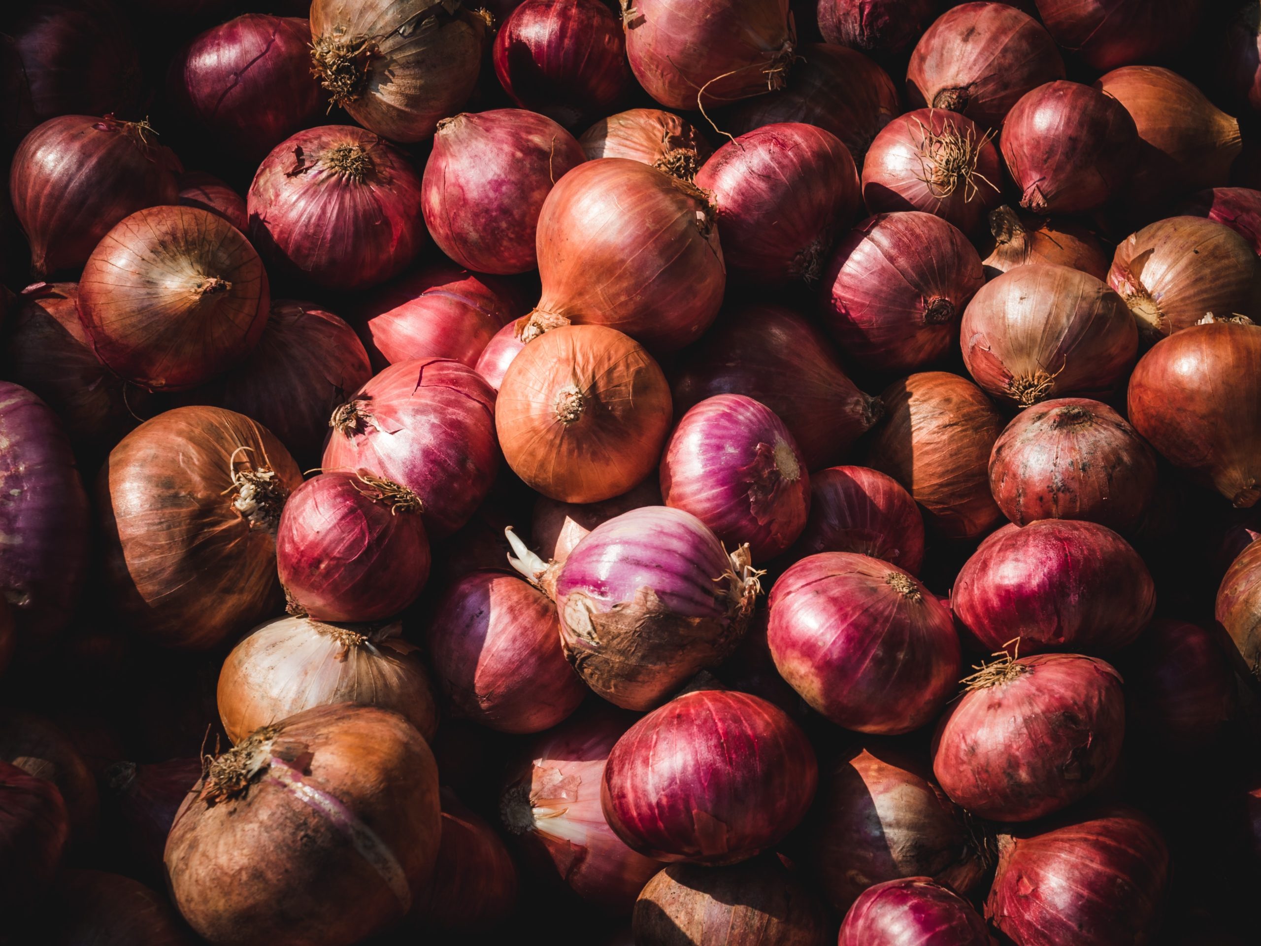 why-eating-onions-is-good-for-you-yourdailysportfix