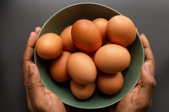 Eggs: A great source of protein