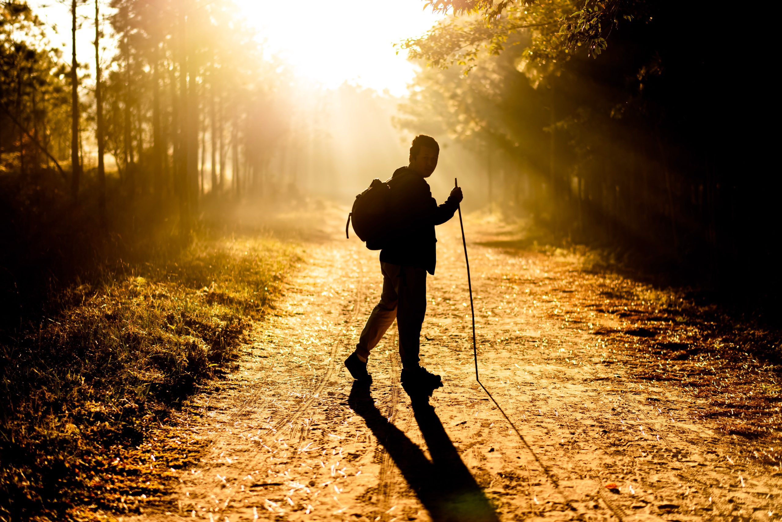 Что такое walking. Ходьба. Скандинавская ходьба. Ходьба картинки. Человек идет.