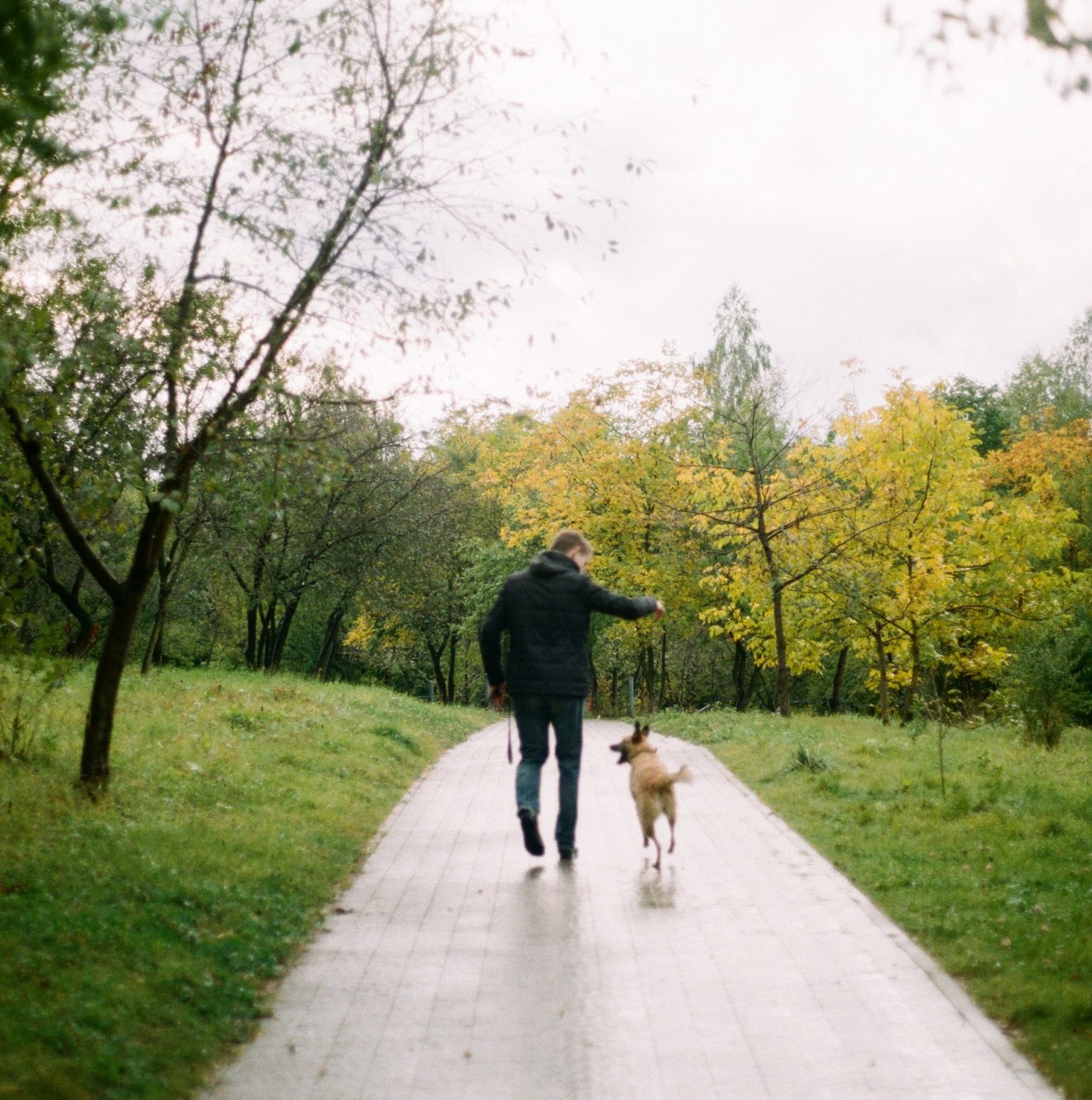 2 Reasons to Jog With Your Dog - yourdailysportfix.com